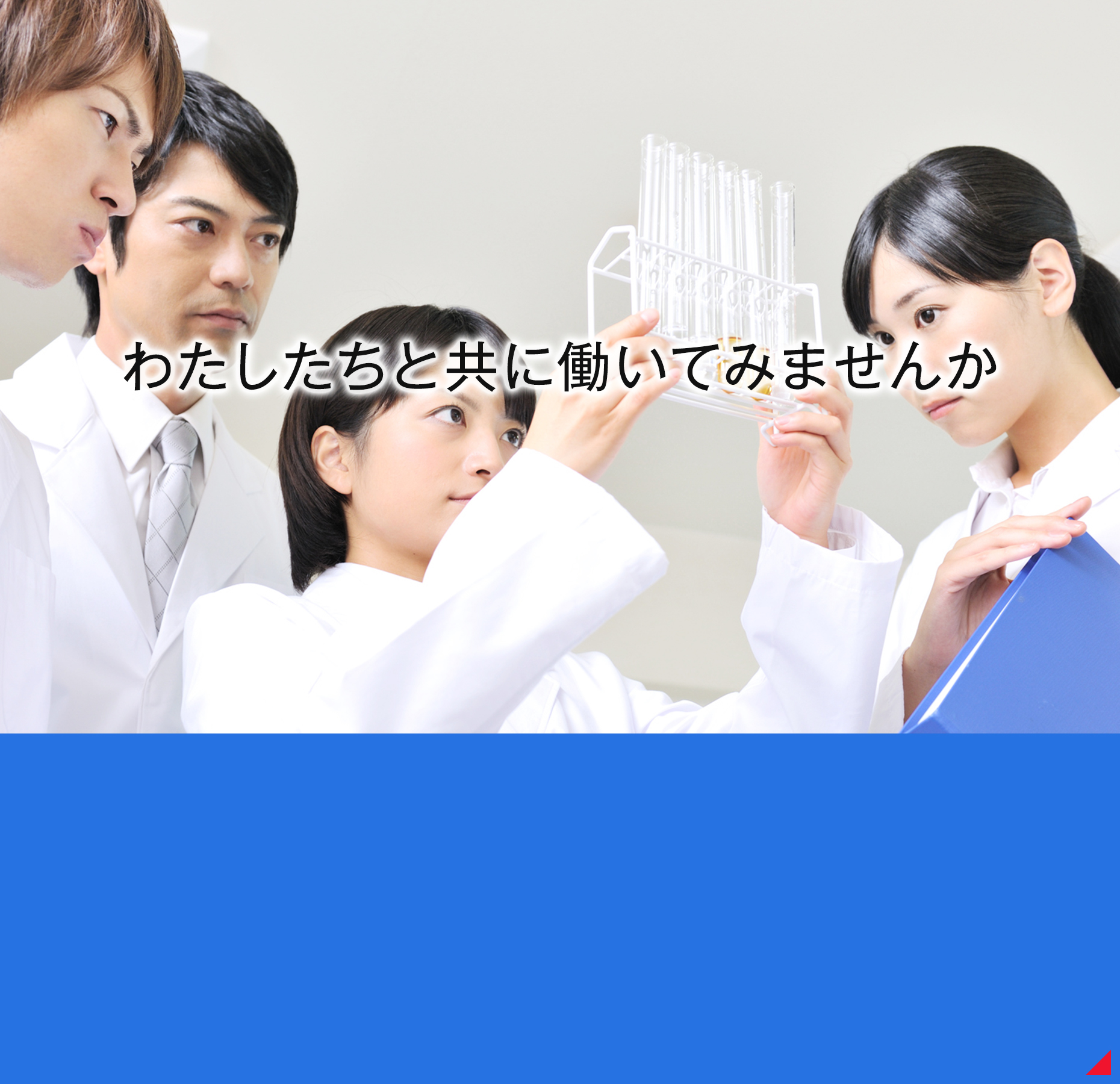 「採用情報」RECRUIT